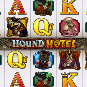 Посетите в аппаратах Hound Hotel отель для собак