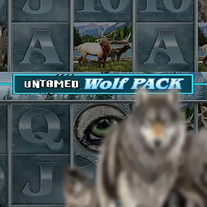 Виртуальный игровой аппарат Untamed Wolf Pack в коллекции в заведении Titan Casino в демо, и мы играем онлайн бесплатно без регистрации