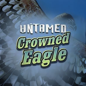 Сыграть в эмулятор Untamed Crowned Eagle бесплатно в режиме демо